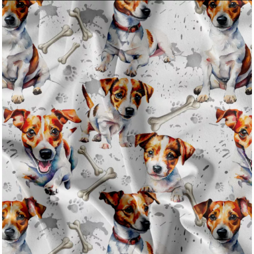 Kočárkovina - JACK russel 